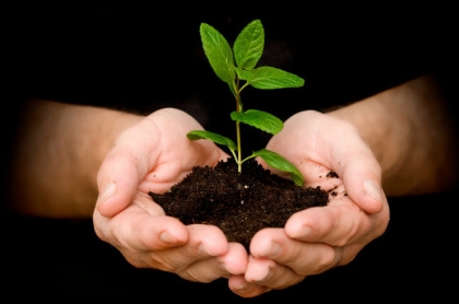 Luật nhân quả hay nghiệp quả báo ứng 